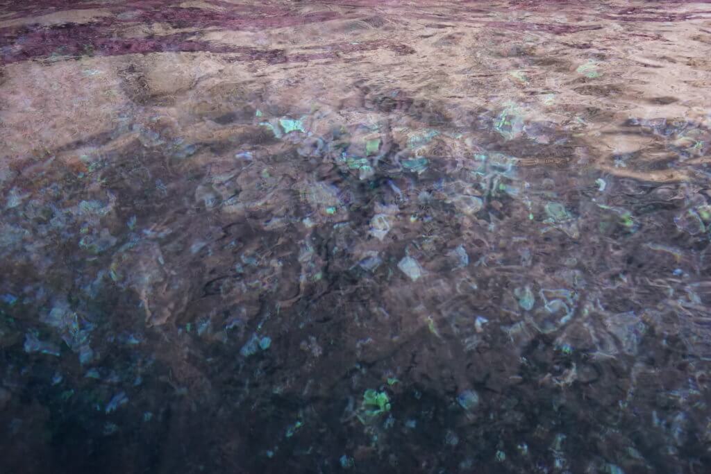 DSC06672 1024x683 - 【マルタ旅行記2】蒼い海と極彩色。他に何かいる？ Blue Grotto（青の洞門）