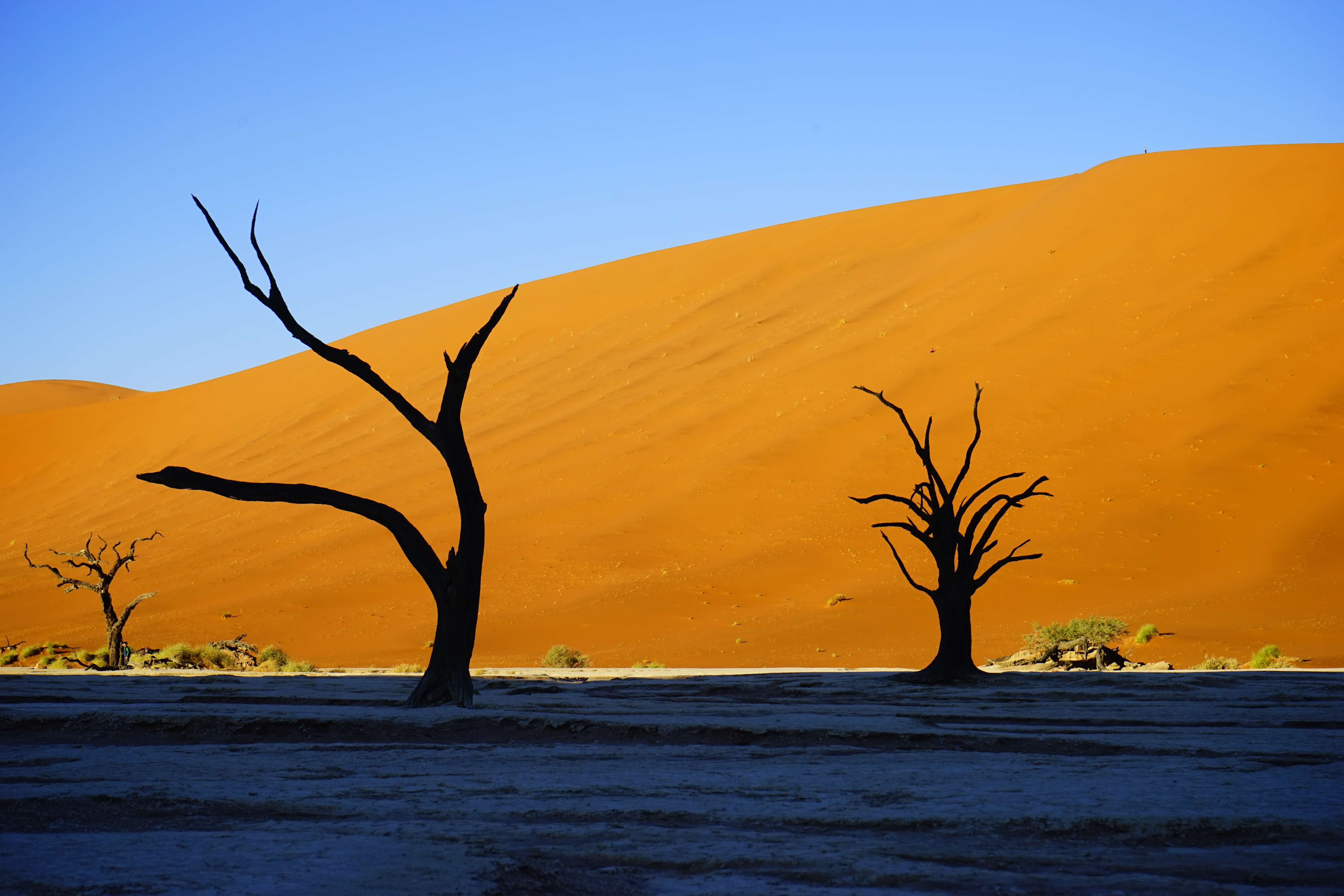 DSC3773 - 【ナミビア ナミブ砂漠・セスリム】絵画のような景色。ナミブ砂漠デッドフレイへの行き方
