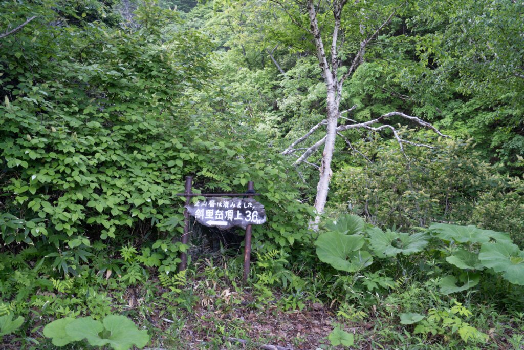 DSC07234 1024x683 - 【北海道 道東登山旅（２）斜里岳】なんて楽しいの。沢沿いを登る自然のアスレチック！