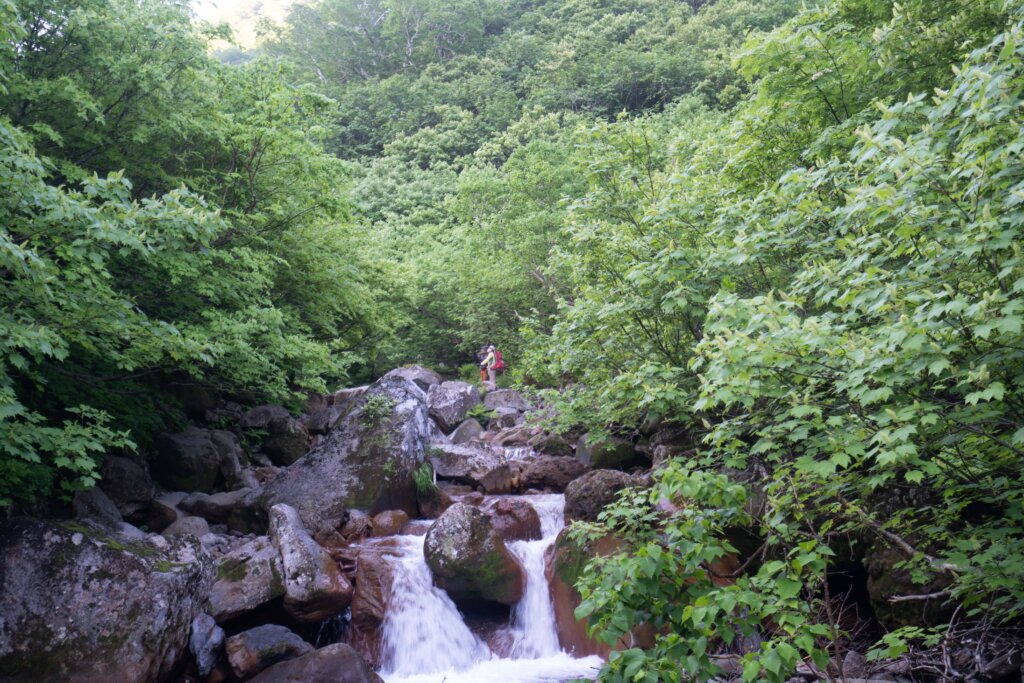 DSC07236 1024x683 - 【北海道 道東登山旅（２）斜里岳】なんて楽しいの。沢沿いを登る自然のアスレチック！