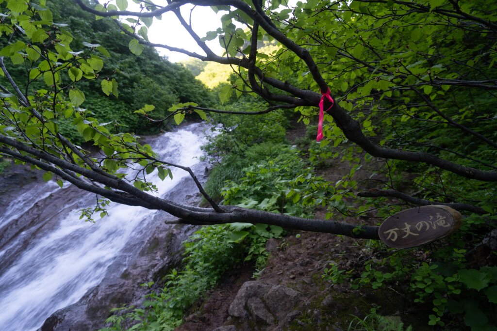 DSC07245 1024x683 - 【北海道 道東登山旅（２）斜里岳】なんて楽しいの。沢沿いを登る自然のアスレチック！