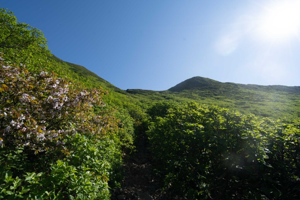 DSC07256 1024x683 - 【北海道 道東登山旅（２）斜里岳】なんて楽しいの。沢沿いを登る自然のアスレチック！