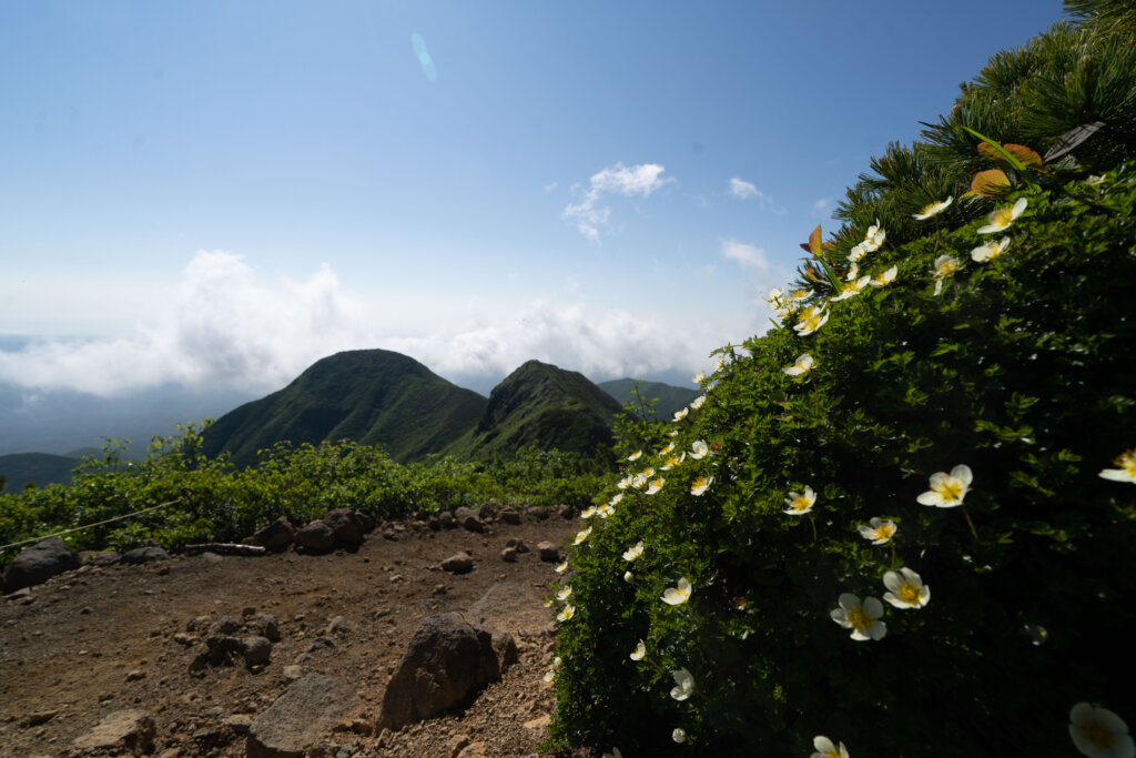 DSC07264 1024x683 - 【北海道 道東登山旅（２）斜里岳】なんて楽しいの。沢沿いを登る自然のアスレチック！