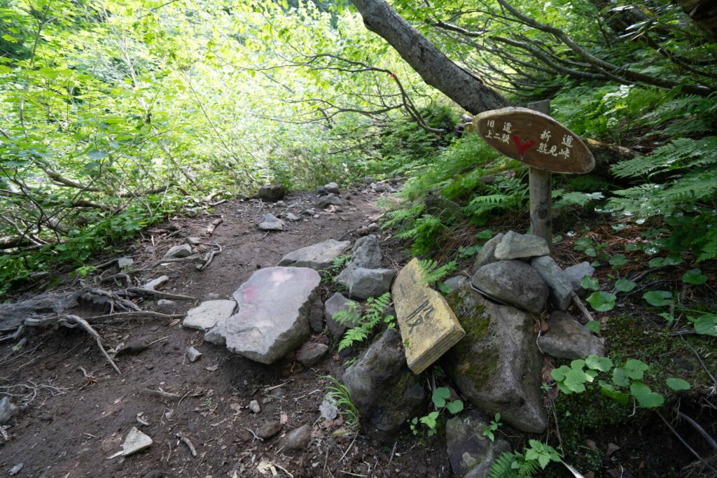 DSC07305 1024x683 - 【北海道 道東登山旅（２）斜里岳】なんて楽しいの。沢沿いを登る自然のアスレチック！